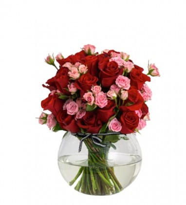 VİNTAGE RED ROSE